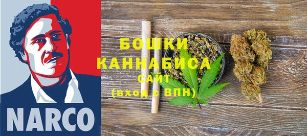 крисы Новозыбков
