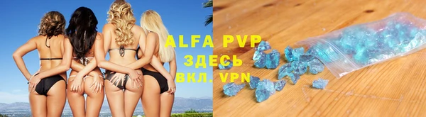 прущие грибы Нея