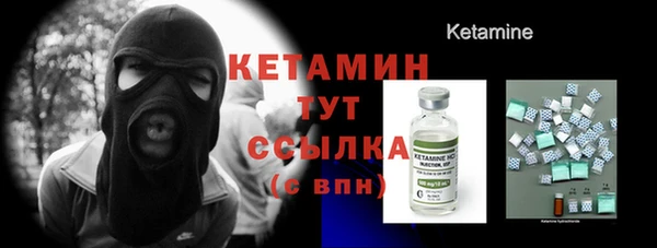 крисы Новозыбков