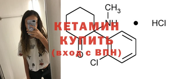 крисы Новозыбков