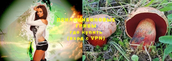 прущие грибы Нея