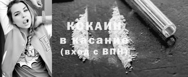 прущие грибы Нея