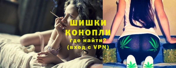 прущие грибы Нея