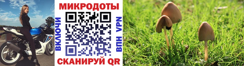 кракен зеркало  Красный Холм  Галлюциногенные грибы Psilocybe 